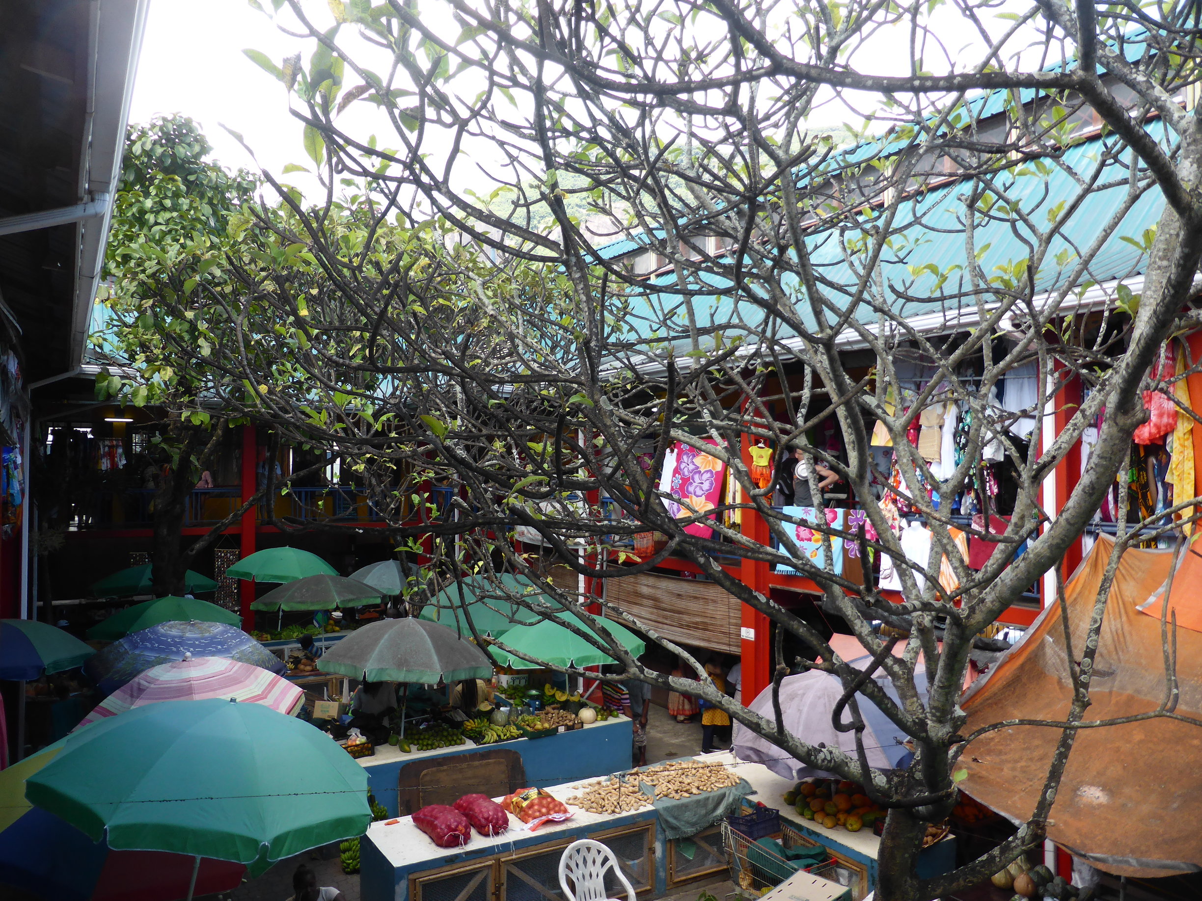 marche-des-seychelles-voyage-vacances-sejour-circuit