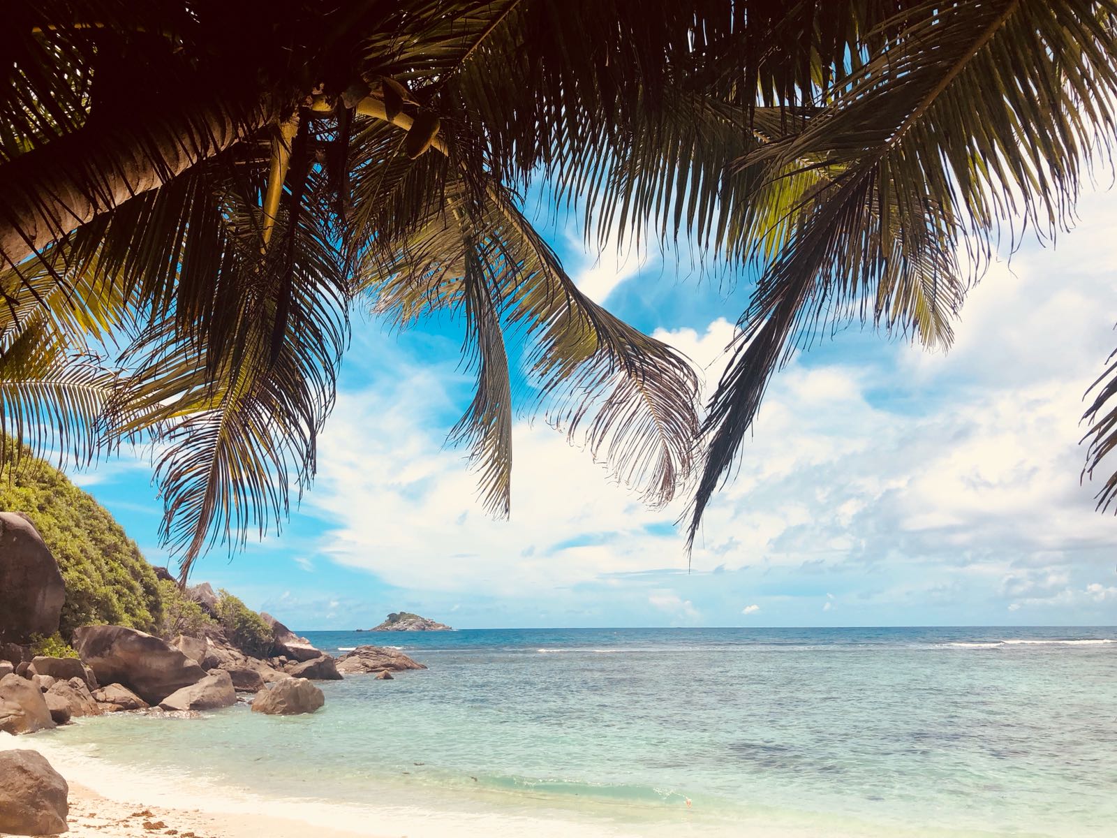 palmier-sable-blanc-seychelles-plage-mer-bleu-vacances-voyage-circuit-sejour