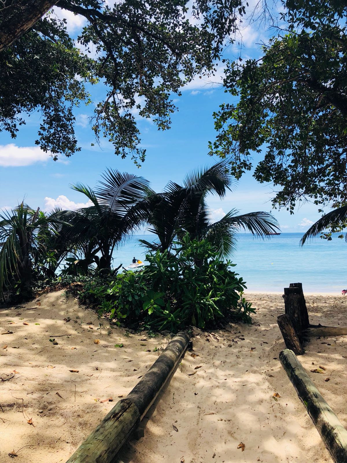 plage-des-seychelles-vacances-voyage-circuit-sejour